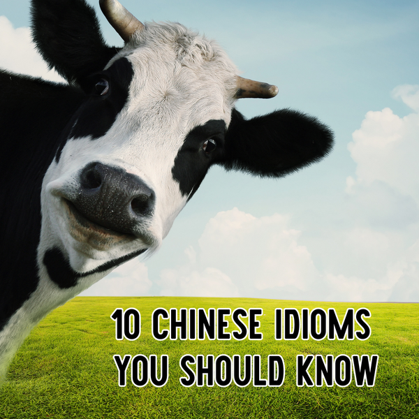 10 Funny Chinese Idioms You Should Know