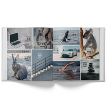 Load image into Gallery viewer, A Colorful world (125 First Words in Chinese) - A Bilingual Children's Book (Written in Cantonese, Jyutping and English)