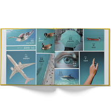 Load image into Gallery viewer, A Colorful world (125 First Words in Chinese) - A Bilingual Children's Book (Written in Simplified Chinese, Pinyin and English)