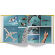 Load image into Gallery viewer, A Colorful world (125 First Words in Chinese) - A Bilingual Children's Book (Written in Traditional Chinese, Pinyin and English)