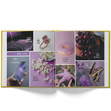 Load image into Gallery viewer, A Colorful world (125 First Words in Chinese) - A Bilingual Children's Book (Written in Traditional Chinese, Pinyin and English)